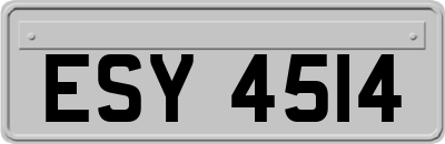 ESY4514