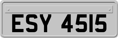 ESY4515