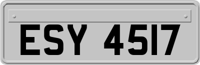 ESY4517