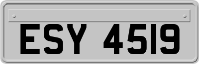 ESY4519