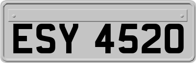 ESY4520