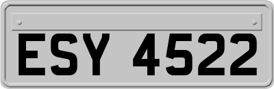ESY4522
