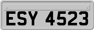 ESY4523