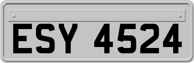 ESY4524