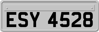 ESY4528