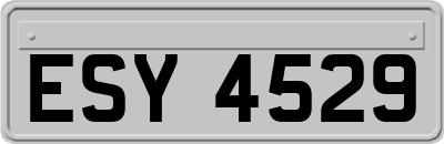 ESY4529