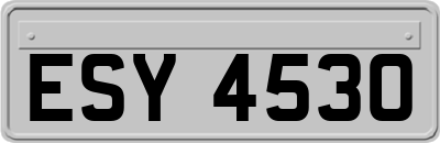 ESY4530