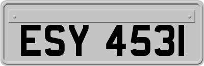 ESY4531