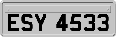 ESY4533