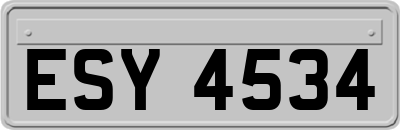 ESY4534