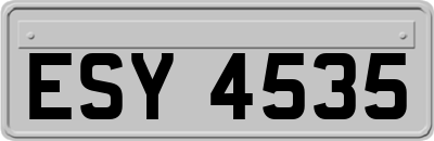 ESY4535
