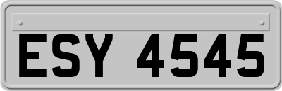 ESY4545
