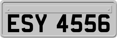 ESY4556