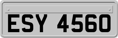 ESY4560