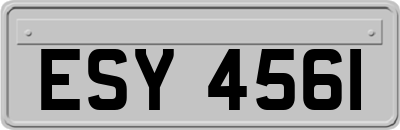 ESY4561
