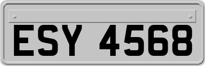 ESY4568