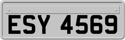 ESY4569