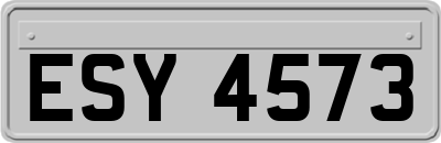 ESY4573