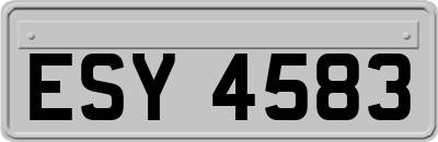ESY4583