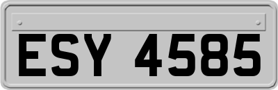 ESY4585
