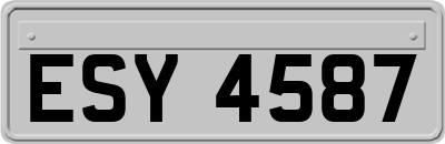 ESY4587