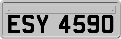 ESY4590