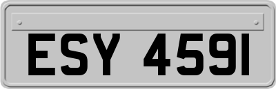 ESY4591