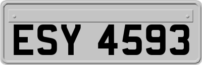 ESY4593