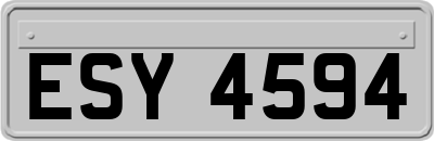 ESY4594