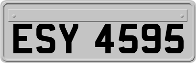 ESY4595
