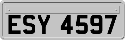 ESY4597