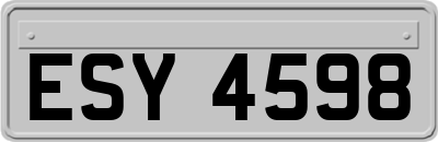 ESY4598
