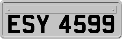 ESY4599
