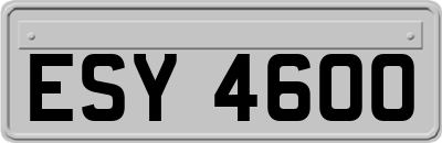 ESY4600