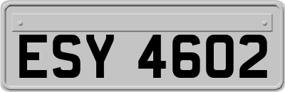 ESY4602