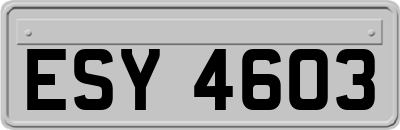 ESY4603