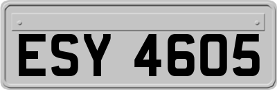 ESY4605