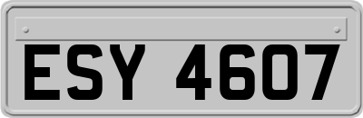 ESY4607