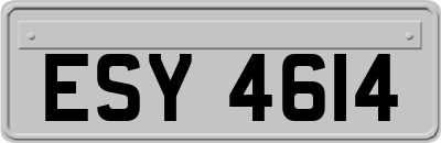 ESY4614
