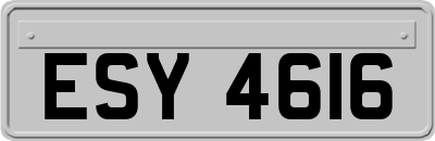 ESY4616