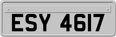 ESY4617