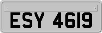ESY4619
