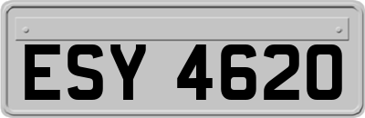 ESY4620