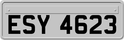 ESY4623