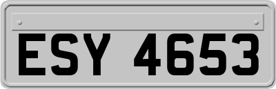 ESY4653