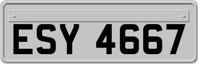 ESY4667