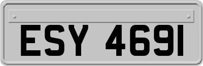ESY4691