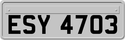 ESY4703