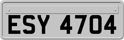 ESY4704