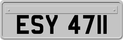 ESY4711